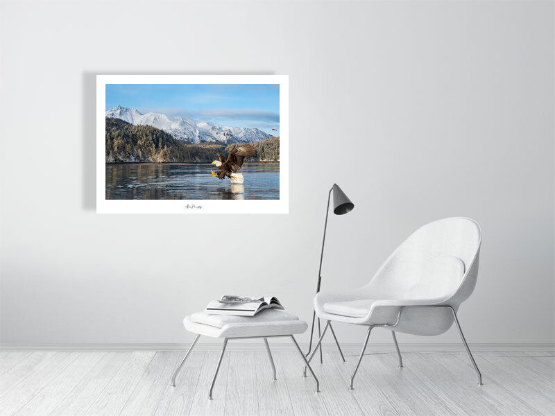 Thumbnail: Bald Eagle 386