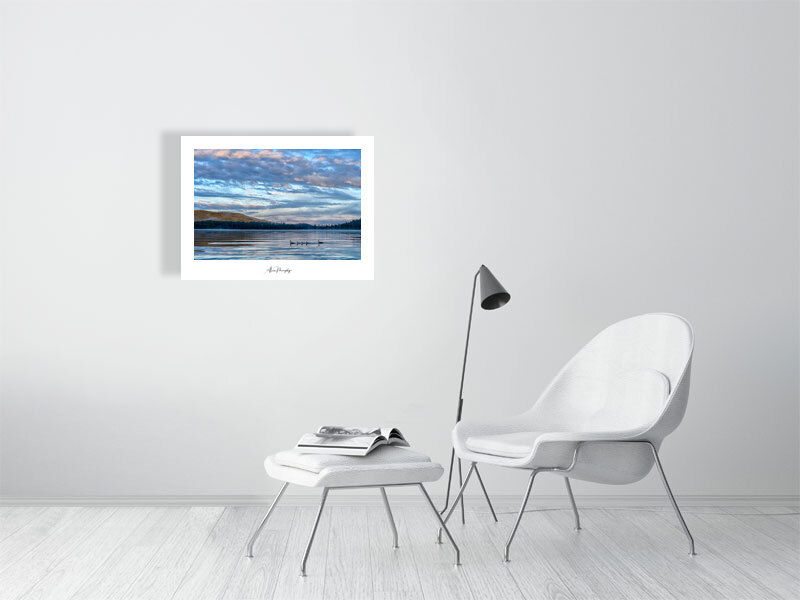 Thumbnail: Canada Goose 10