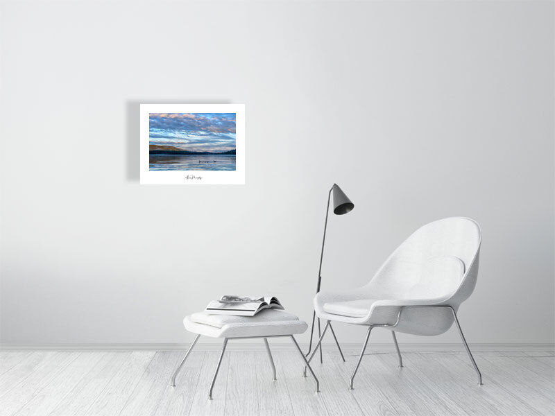 Thumbnail: Canada Goose 10