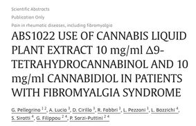 My mother says Fibromyalgia is bearable with CBD and supplements... and so do these doctors: