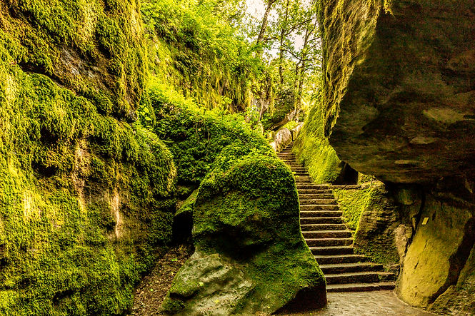 Stone Steps _ Moss_edited.jpg