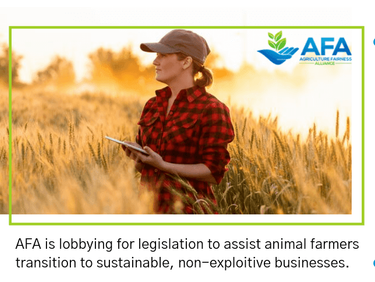 Ending Subsidies to Animal Agriculture