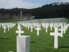 Cimitero dei Feti, pesanti sanzioni per il Comune di Roma e Ama