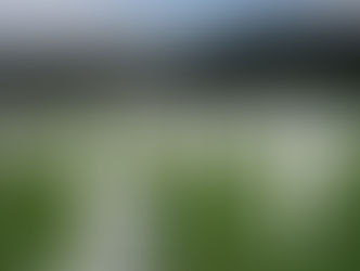 Cimitero dei Feti, pesanti sanzioni per il Comune di Roma e Ama