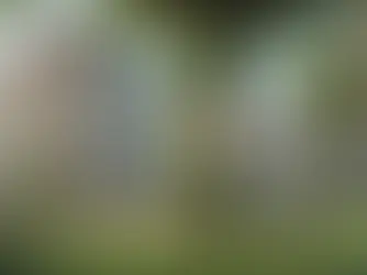 Rimozione di alberi di alto fusto in condominio