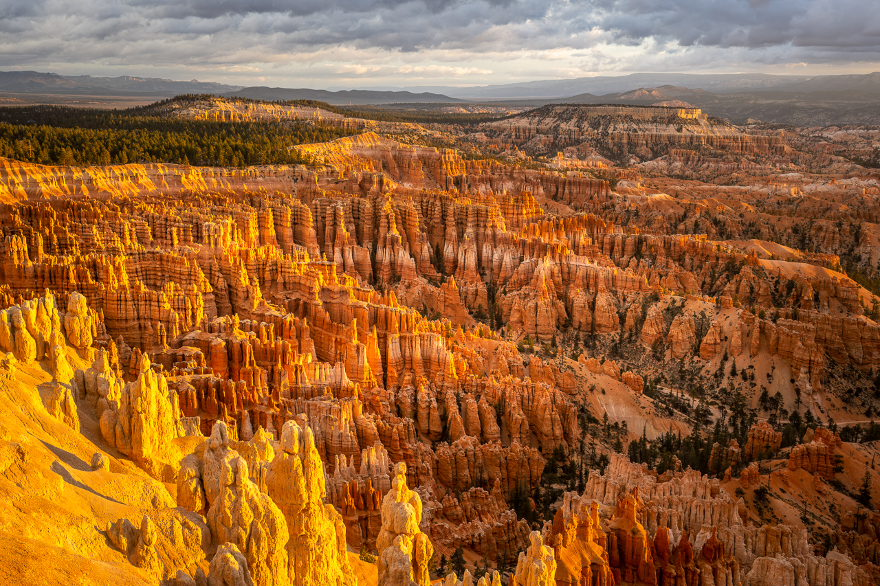 Morning Light on Bryce Canyon