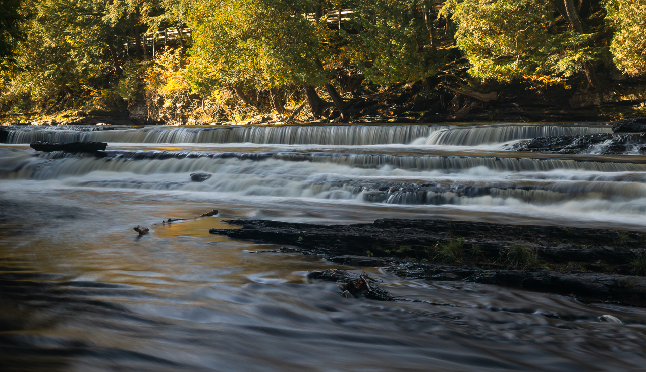 UP2021 (2 of 26).jpg