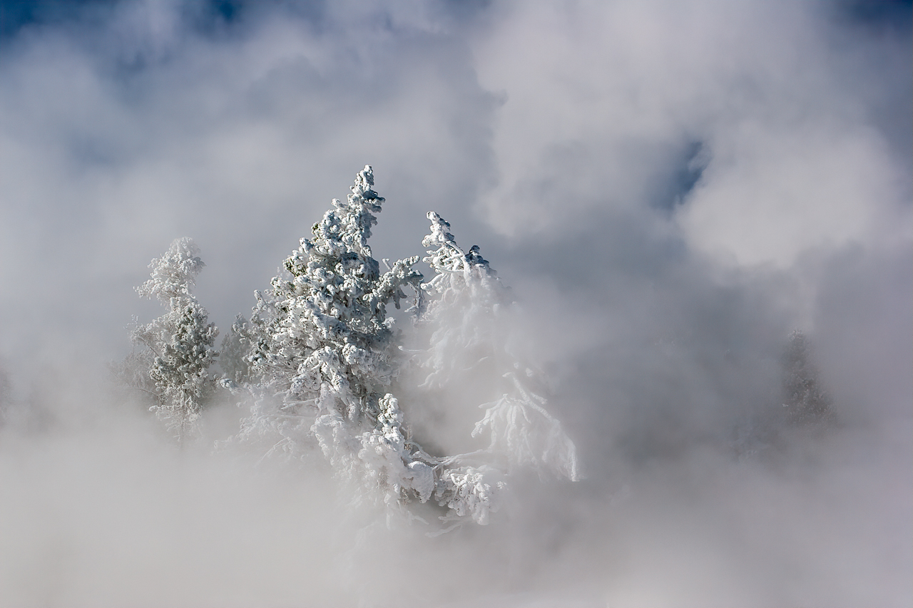 Covered in Clouds and Frost