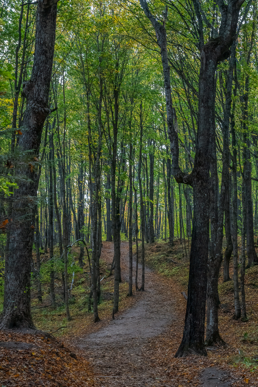 UP2021 (19 of 26).jpg