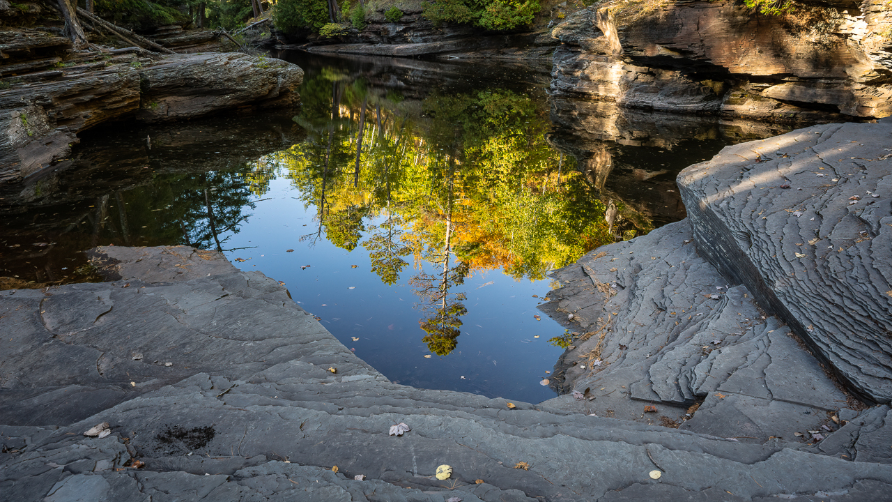 UP2021 (4 of 26).jpg