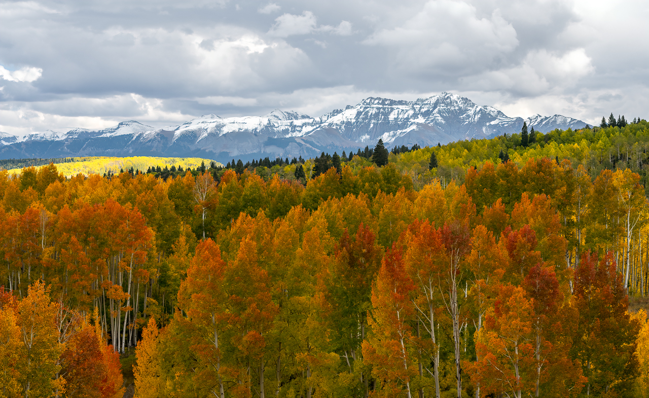 Telluride2021--20.jpg