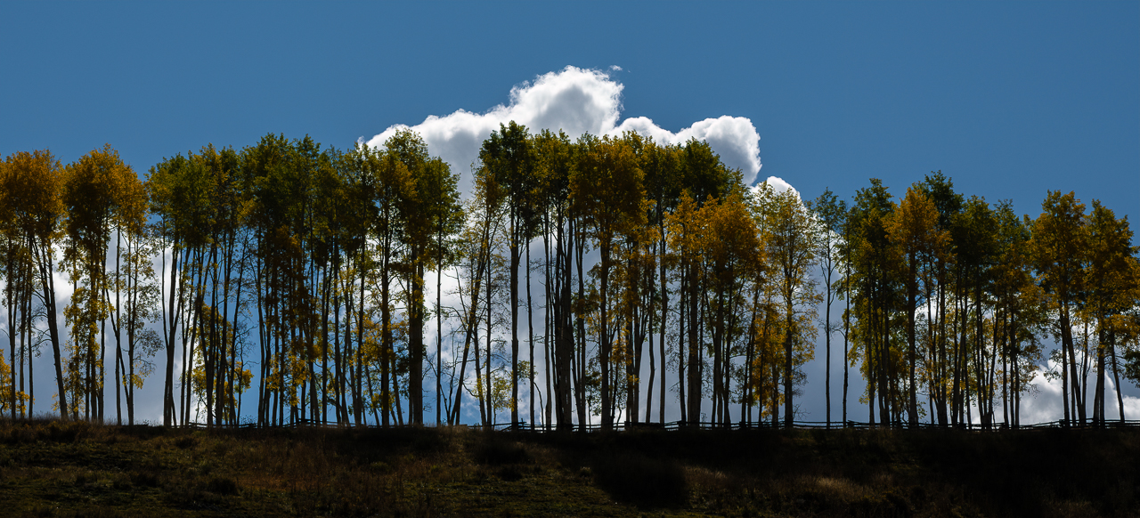 Telluride2021--18.jpg