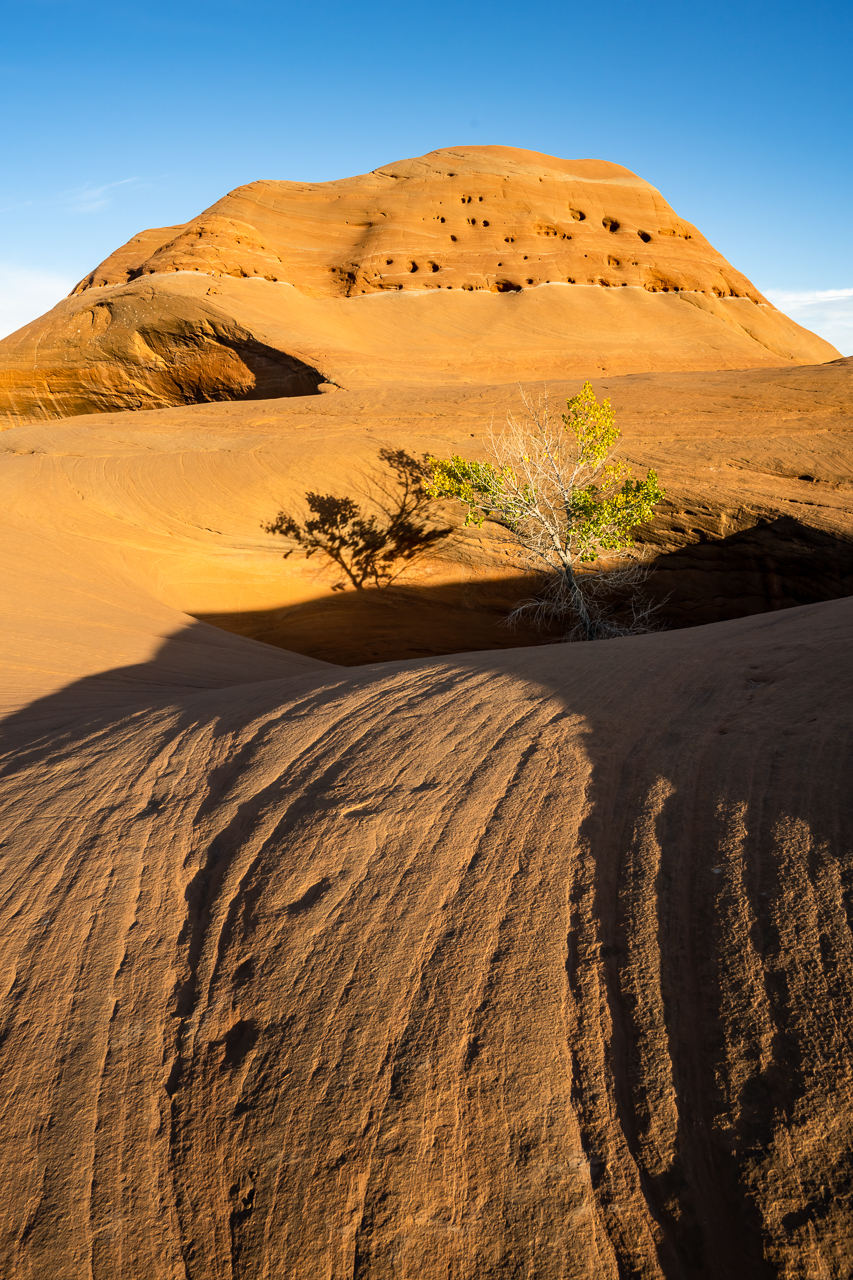 Dance House Rock Light and Shadow