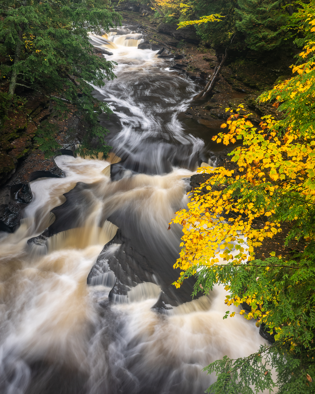 UP2021 (8 of 26).jpg