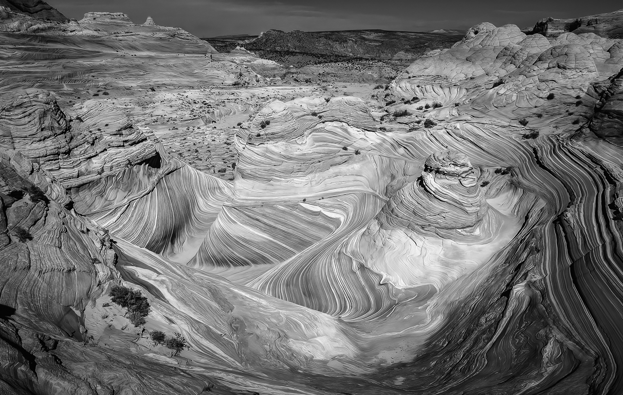 Above the Wave Black and White