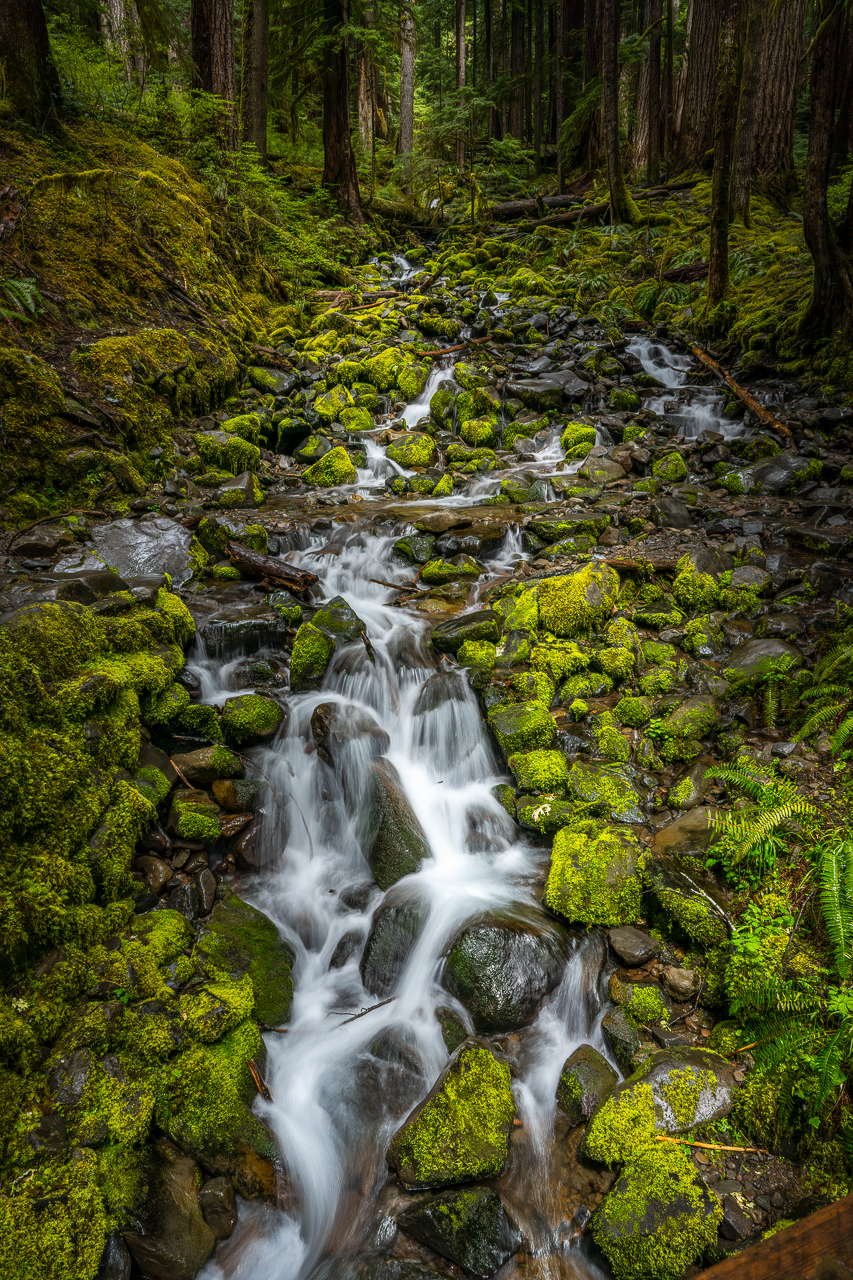 ONP2022 (5 of 24)_DSC3534.jpg