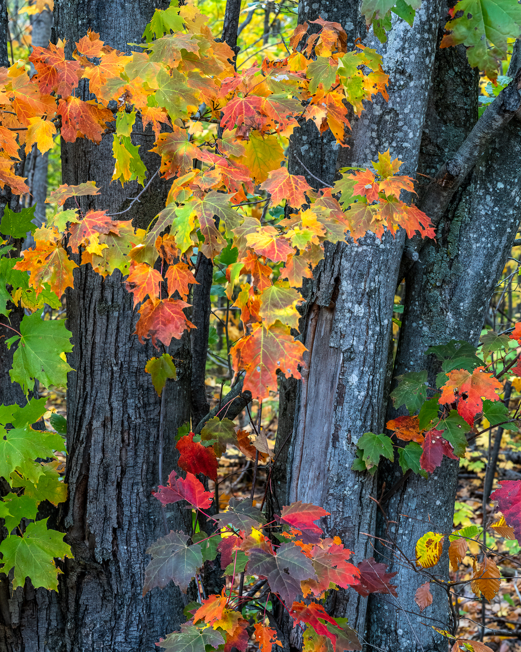 UP2021 (25 of 26).jpg