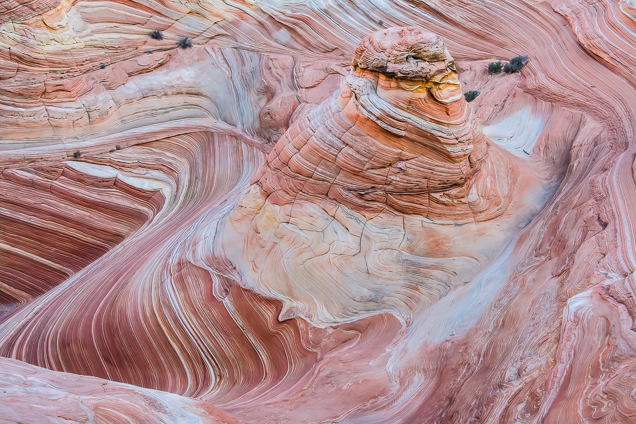 The Wave - Petrified Sand Dune