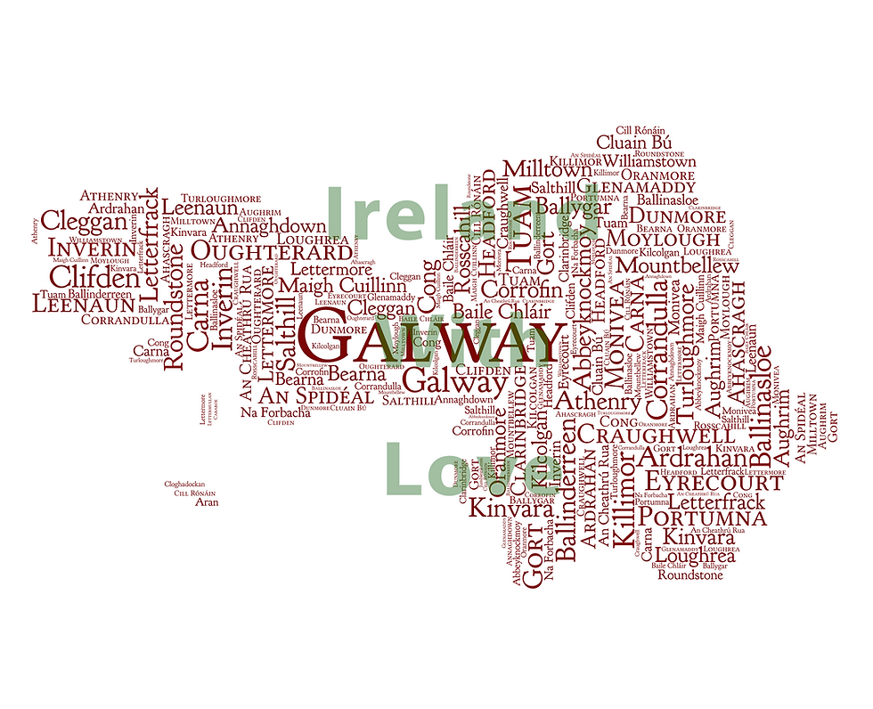 Thumbnail: Galway County Towns Irish Themed Poster Irish Print What's Your Home Town