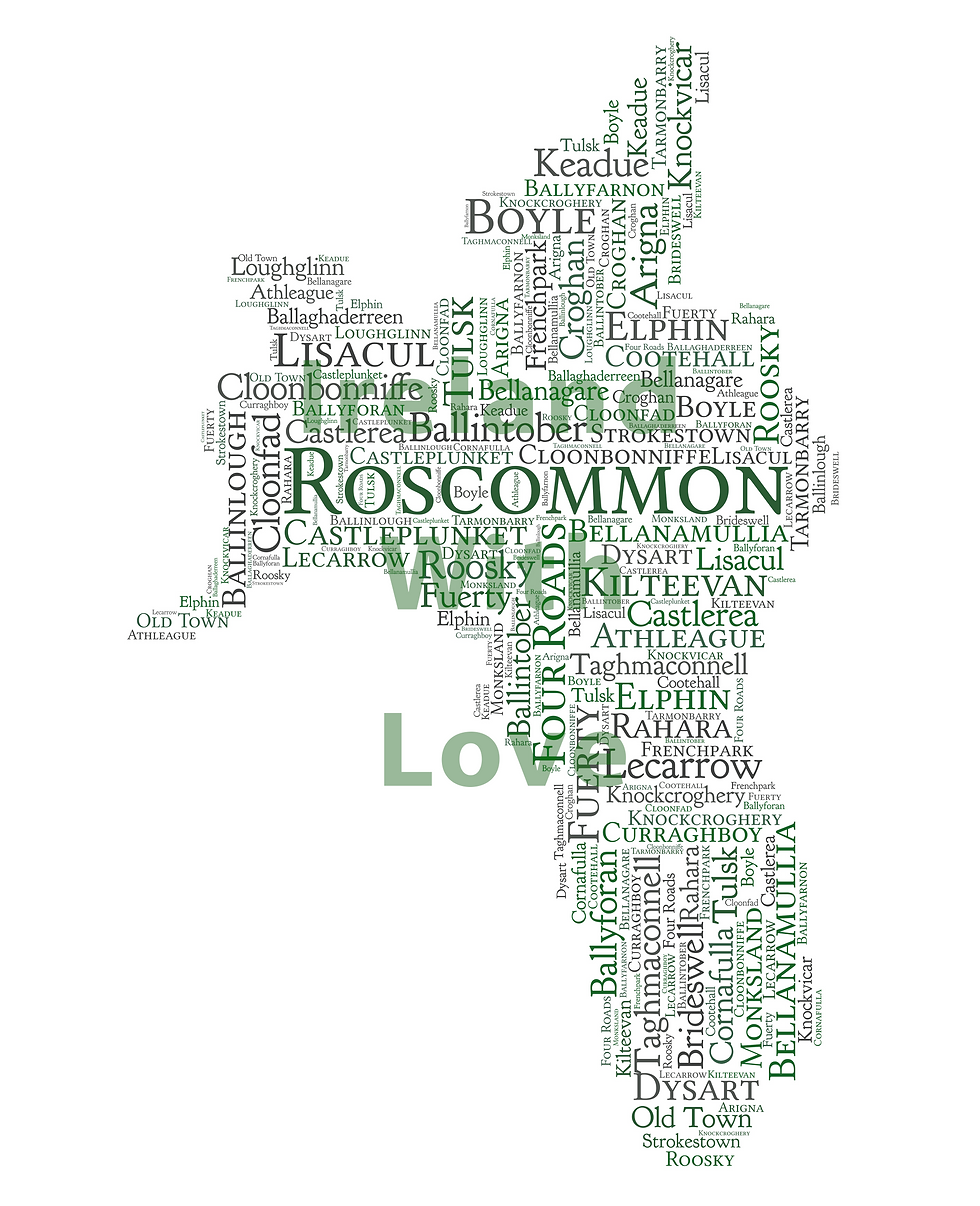 Thumbnail: Roscommon County Towns Irish Themed Poster Irish Print What's Your Home Town