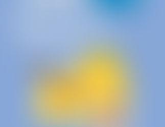 Spot's Birthday Party