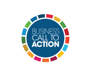Corporate Sustainability Reporting in 2025: Corporate and Investor Call to Action