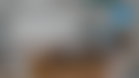 Designing Dog-Friendly Vacation Rentals: A Comprehensive Guide