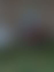 P2 Fundamentals Gallery