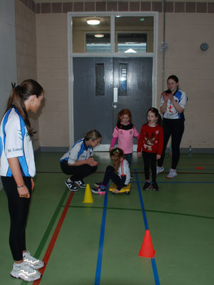 P2 Fundamentals Gallery