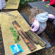 Outdoor learning5.jpeg