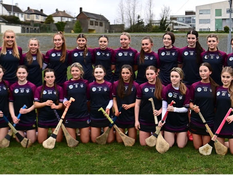 ⭐️All Ireland Champions⭐️