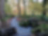 marys well.jpg