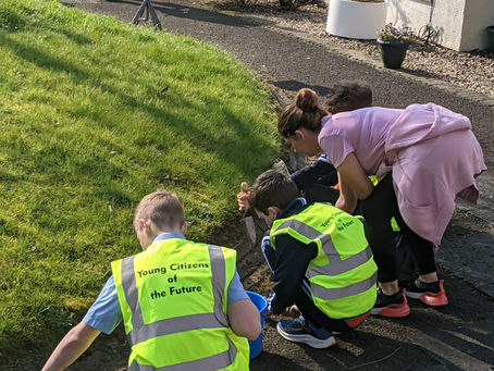 Eco-Club & TR- Marine Fold Clean Up