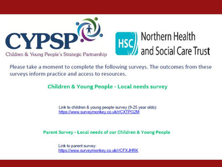 CYPSP Survey