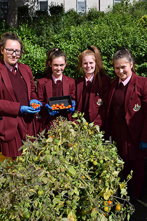 Year 9 Sustainability Team 2018 4