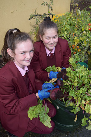 Year 9 Sustainability Team 2018 6