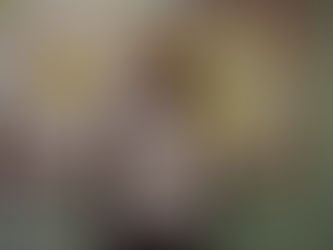 'My Fair Lady' Poster Competition