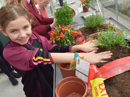 Eco Committee Introduce Healthy and Sustainable Living