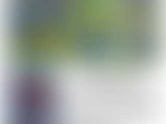 The Clounagh Chronicle: Issue 3