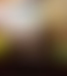 Macmillan Coffee Morning