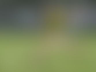 Rugby News – Ulster U16