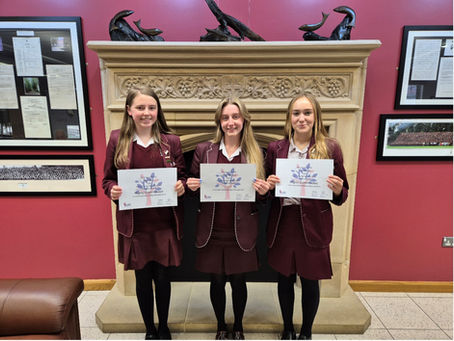 The British Biology Olympiad (BBO) 2024