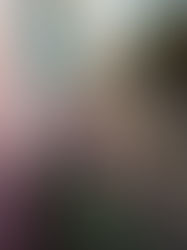 Sustrans Big Pedal Challenge