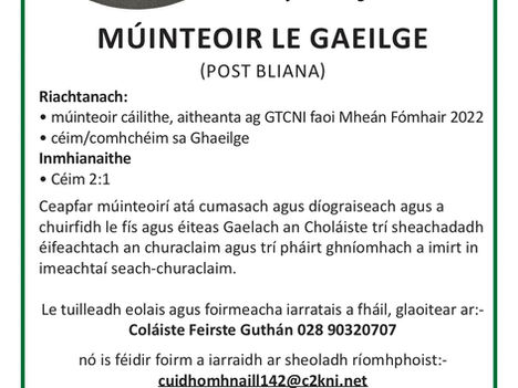 Múinteoir Le Gaeilge
