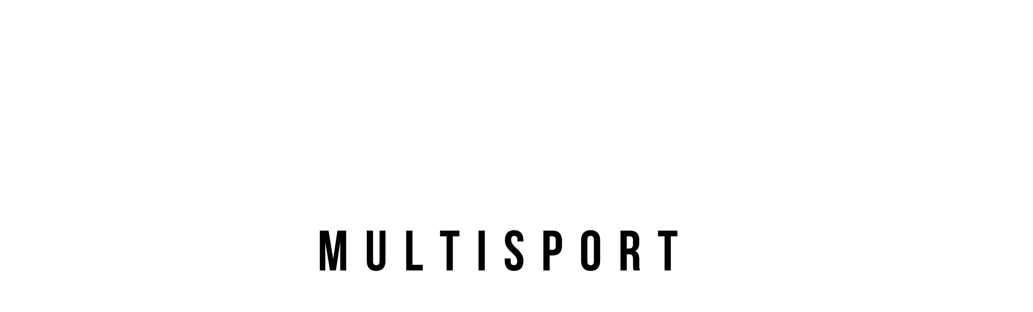 Highforce Multisport