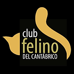 Club felino del cantabrico