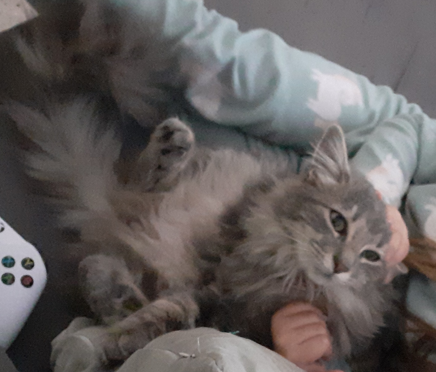 Elsa