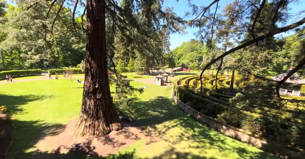 Dumfries House Gardens Celebrated as a Beacon of Inspiration After National Win