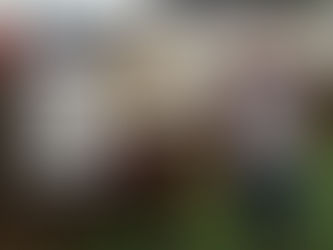 Ayrshire Dairy Brand Marks 10 Years After Starting From Bankruptcy and a Conservatory Honesty Shop