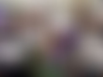 Barassie Primary Teams Up with Local Author to Publish New Children’s Book